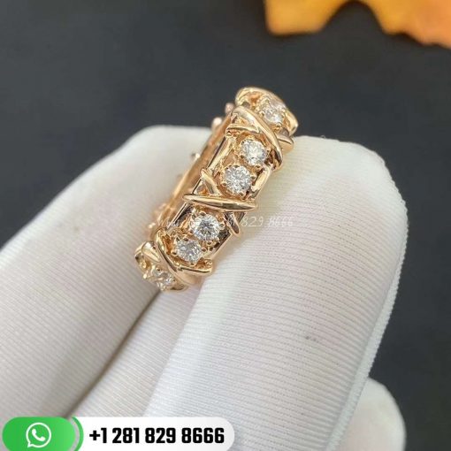 Tiffany & Co. Schlumberger® Sixteen Stone Ring