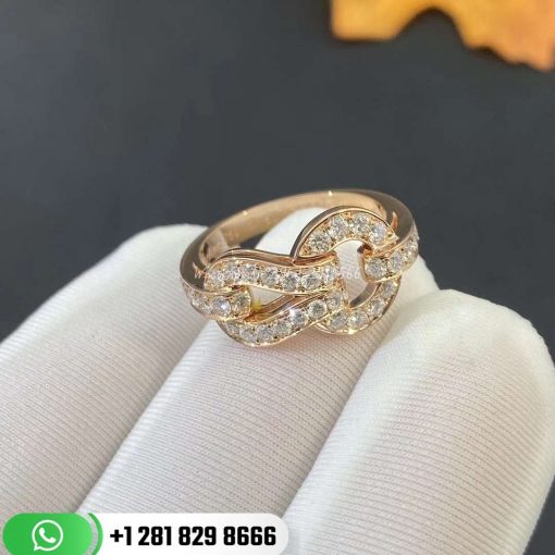 Cartier Agrafe Collection Ring -B4208600/B8039500