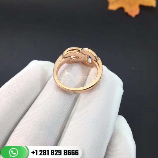 Cartier Agrafe Collection Ring -B4208600/B8039500