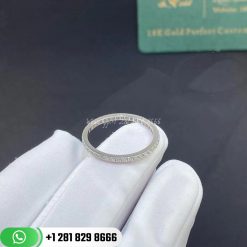 Tiffany Soleste Full Eternity Ring in Platinum with Diamonds