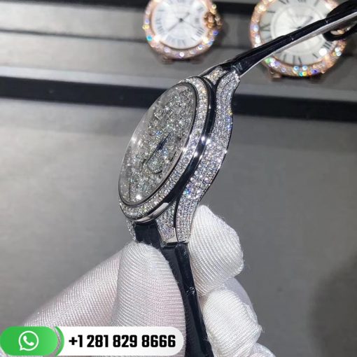 Graff Butterfly White Diamonds WatchGraff Butterfly White Diamonds Watch