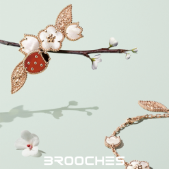 VCA Brooches