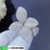 Pasquale bruni giardini segreti ring five leaves medium flower ring custom jewelry (2)